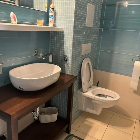 Horec With Parking In The Garage