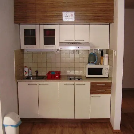 Horec With Parking In The Garage