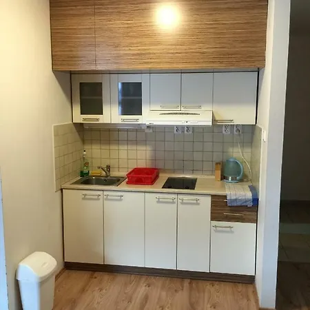 Horec With Parking In The Garage Donovaly