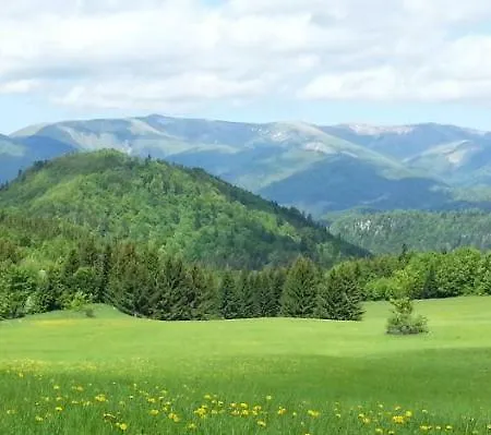 Horec With Parking In The Garage