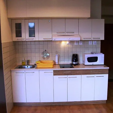 Horec With Parking In The Garage Apartment