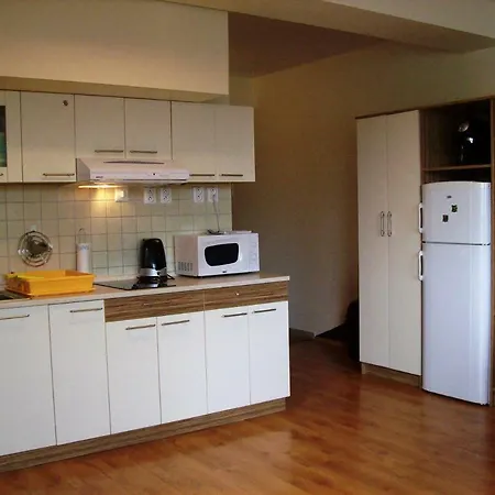 Horec With Parking In The Garage