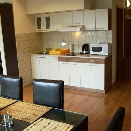 Horec With Parking In The Garage Apartment